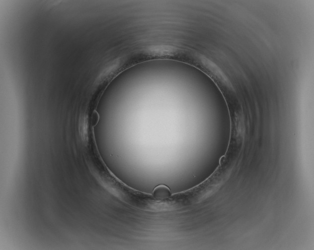 X0000110770494200906151328