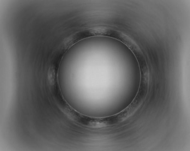 X0000110770498200906151328