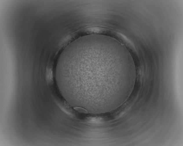 X0000110770500200906151328