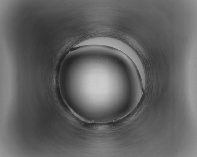 X0000110770501200906151328