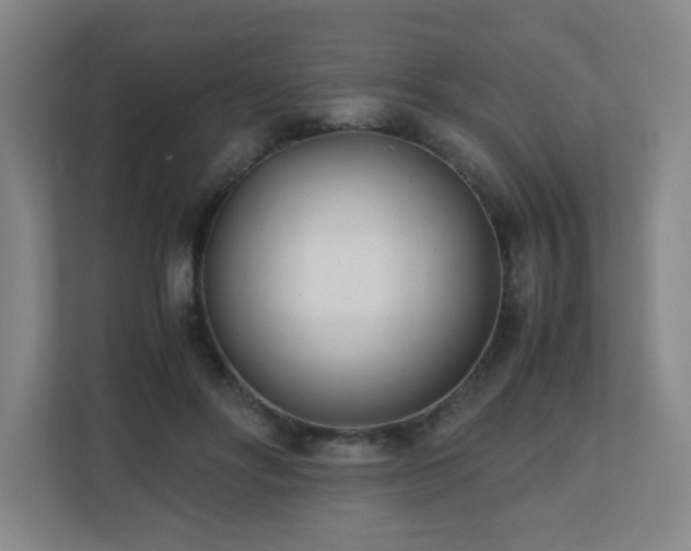 X0000110770502200906151328