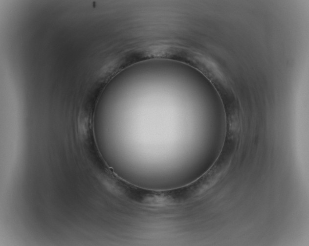 X0000110770503200906151328