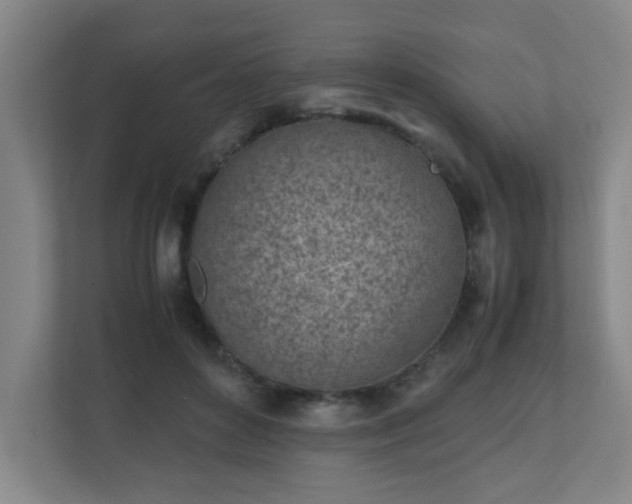 X0000110770504200906151328