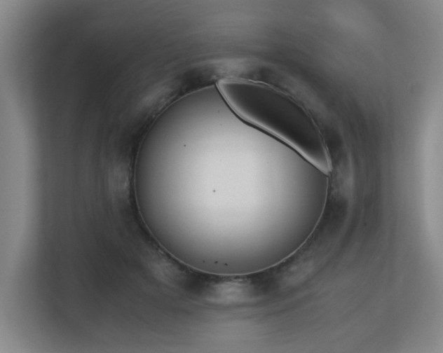 X0000110770505200906151328