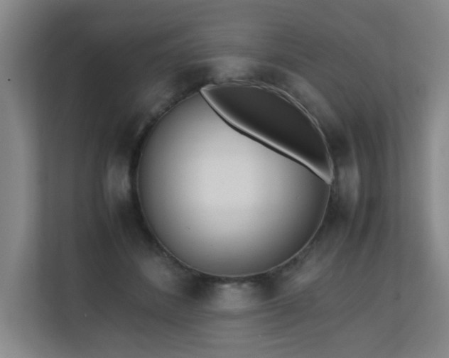 X0000110770508200906151328