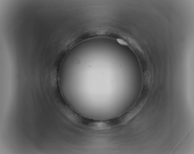 X0000110770509200906151328