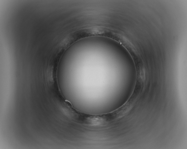 X0000110770512200906151328