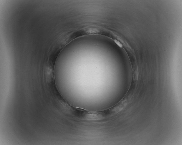 X0000110770521200906151328