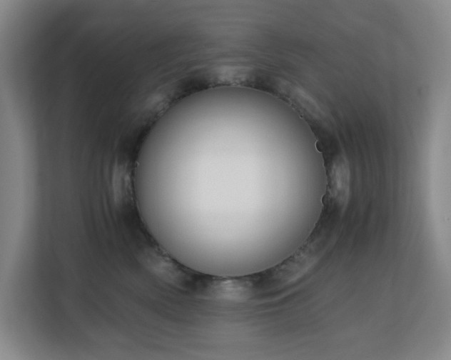 X0000110770522200906151328