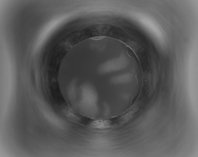 X0000110770526200906151328