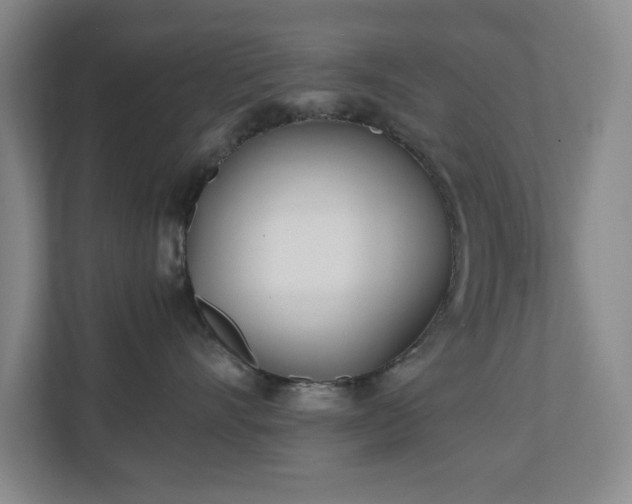 X0000110770528200906151328