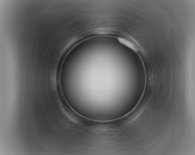 X0000110770530200906151327