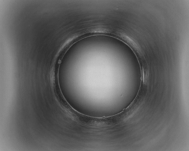 X0000110770531200906151327