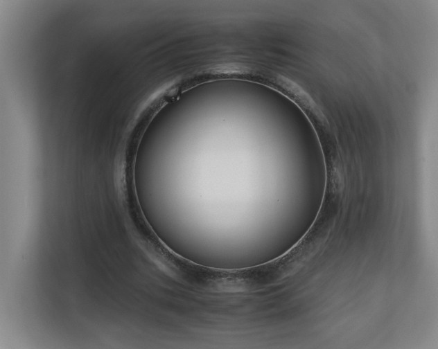 X0000110770535200906151327