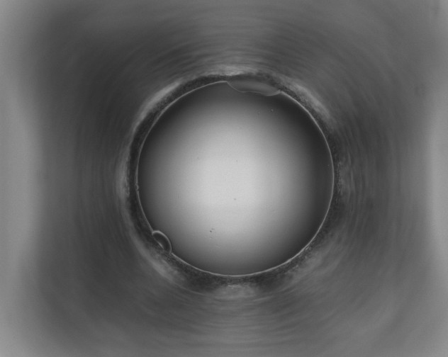 X0000110770536200906151328