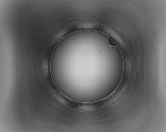 X0000110770537200906151328