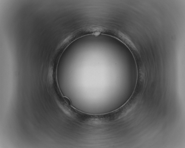 X0000110770538200906151328