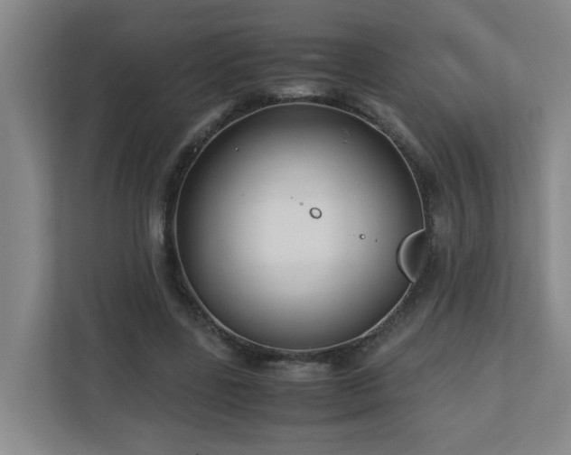 X0000110770539200906151328