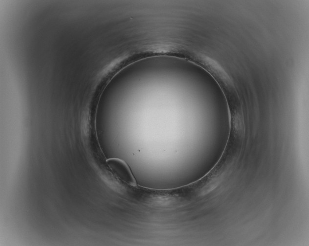 X0000110770540200906151328