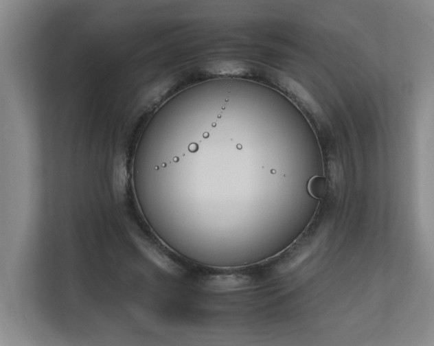 X0000110770541200906151328