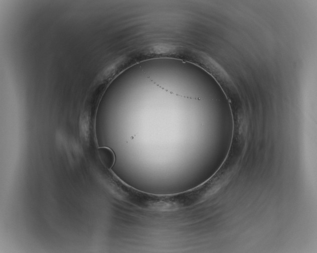 X0000110770542200906151328