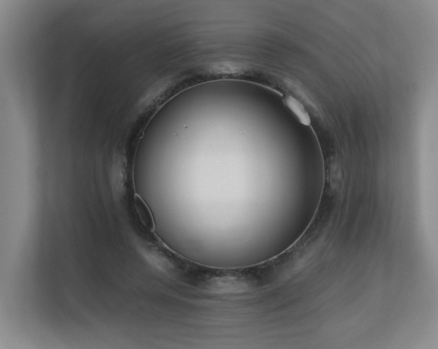 X0000110770544200906151328