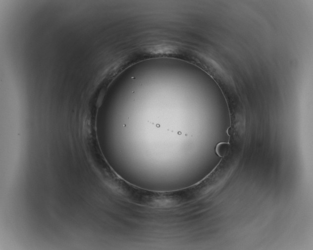 X0000110770547200906151328