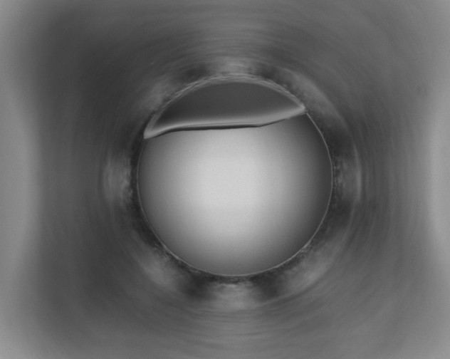 X0000110770548200906151328