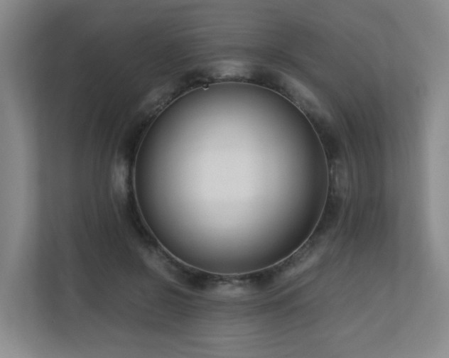 X0000110770550200906151328