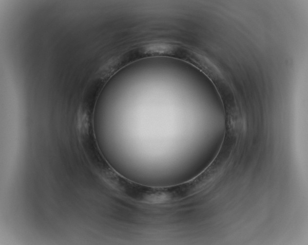 X0000110770551200906151328