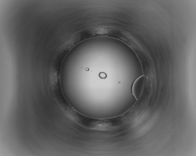 X0000110770555200906151328