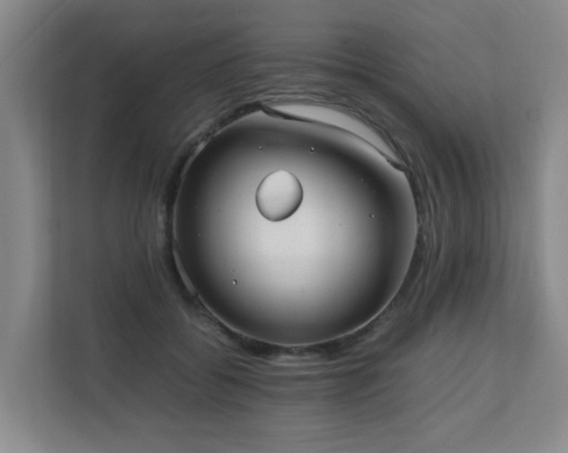 X0000110770556200906151328