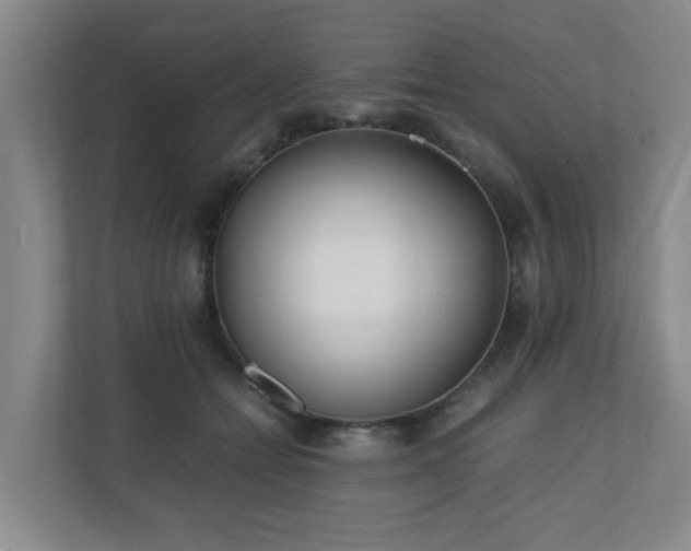 X0000110770558200906151328