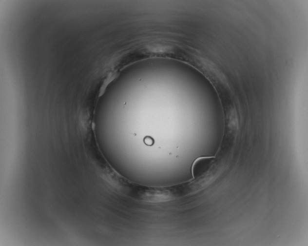 X0000110770559200906151328