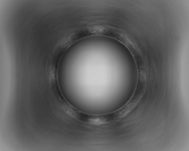 X0000110770561200906151328