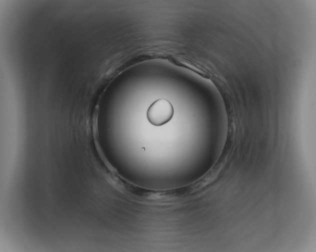 X0000110770568200906151328