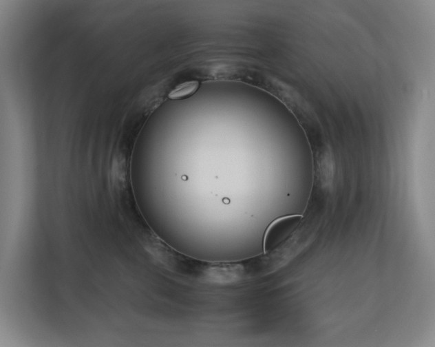 X0000110770571200906151328