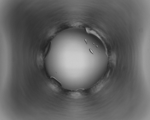 X0000110770572200906151328