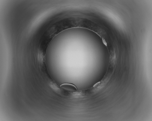 X0000110770574200906151328