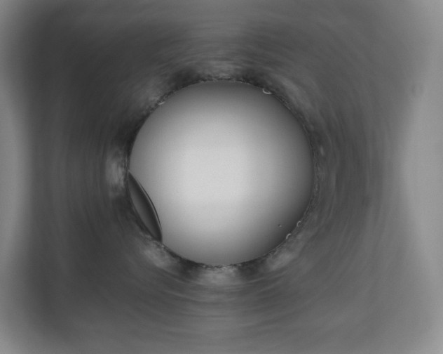 X0000110770576200906151328