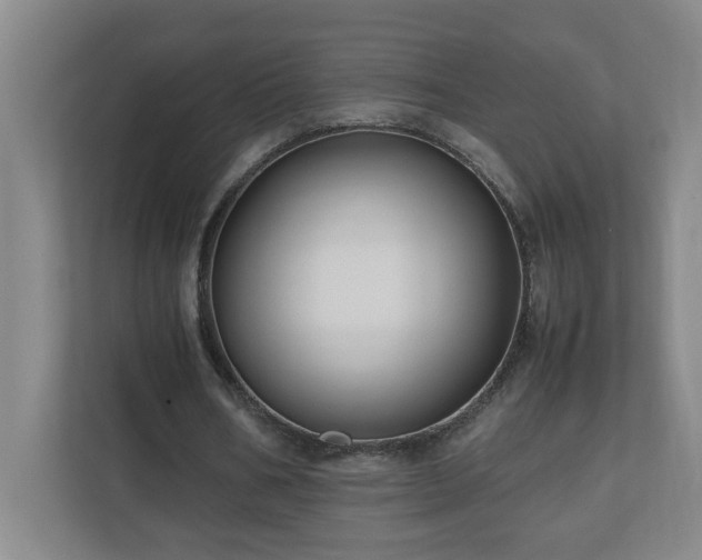 X0000110770578200906151327