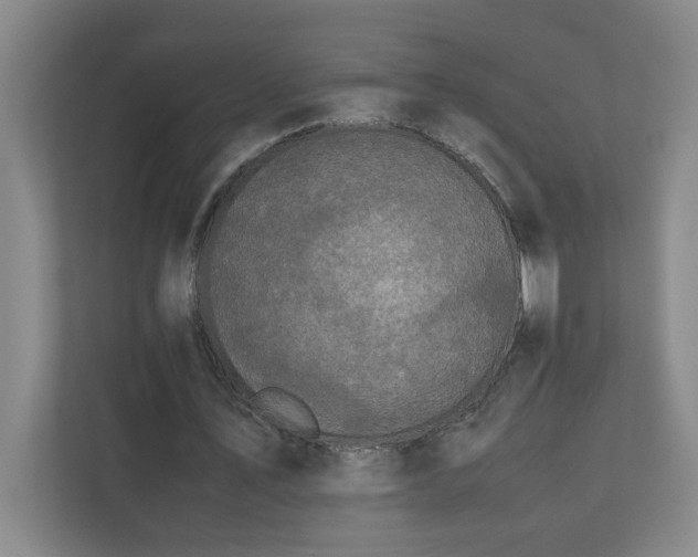 X0000110770579200906151327