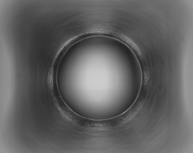 X0000110770580200906151327