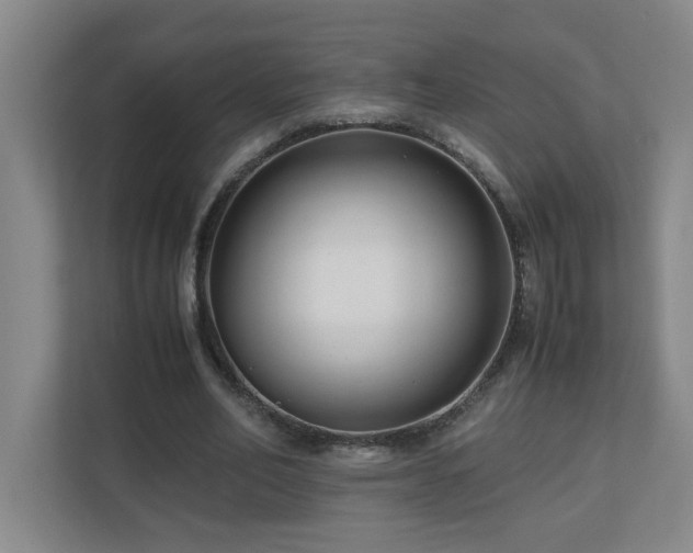 X0000110770582200906151327