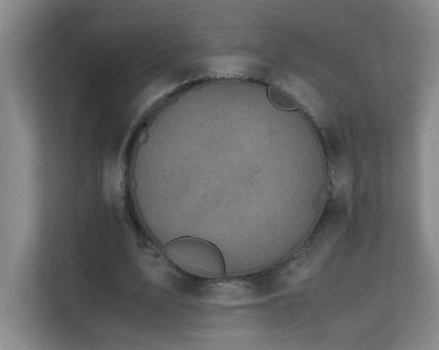 X0000110770583200906151327