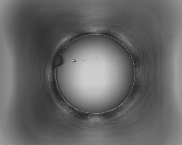 X0000110770587200906151327