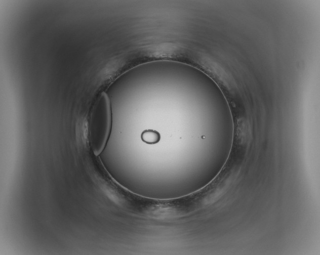 X0000110770589200906151327