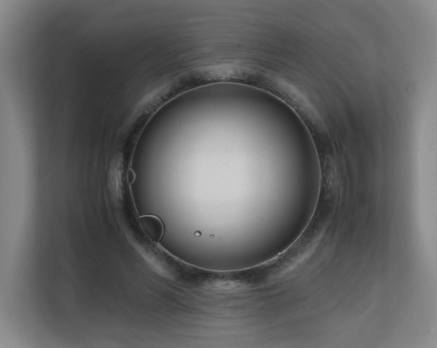 X0000110770590200906151327