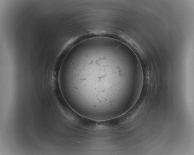 X0000110770592200906151327