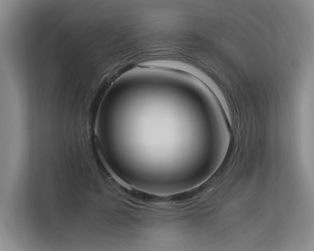 X0000110770595200906151327